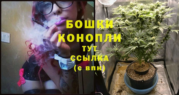 соль ск Аркадак