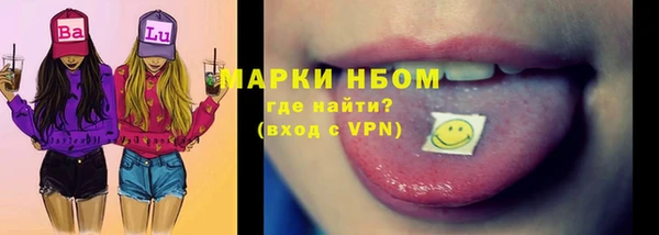 индика Арсеньев