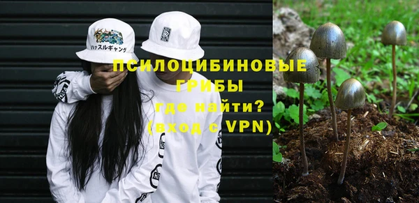 соль ск Аркадак