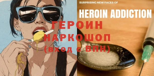 индика Арсеньев