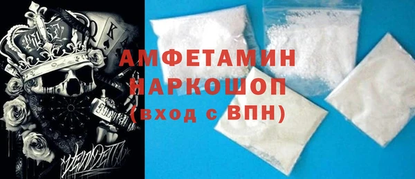 индика Арсеньев