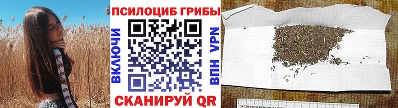 дарк нет официальный сайт  Белоярский  Псилоцибиновые грибы мухоморы  купить  